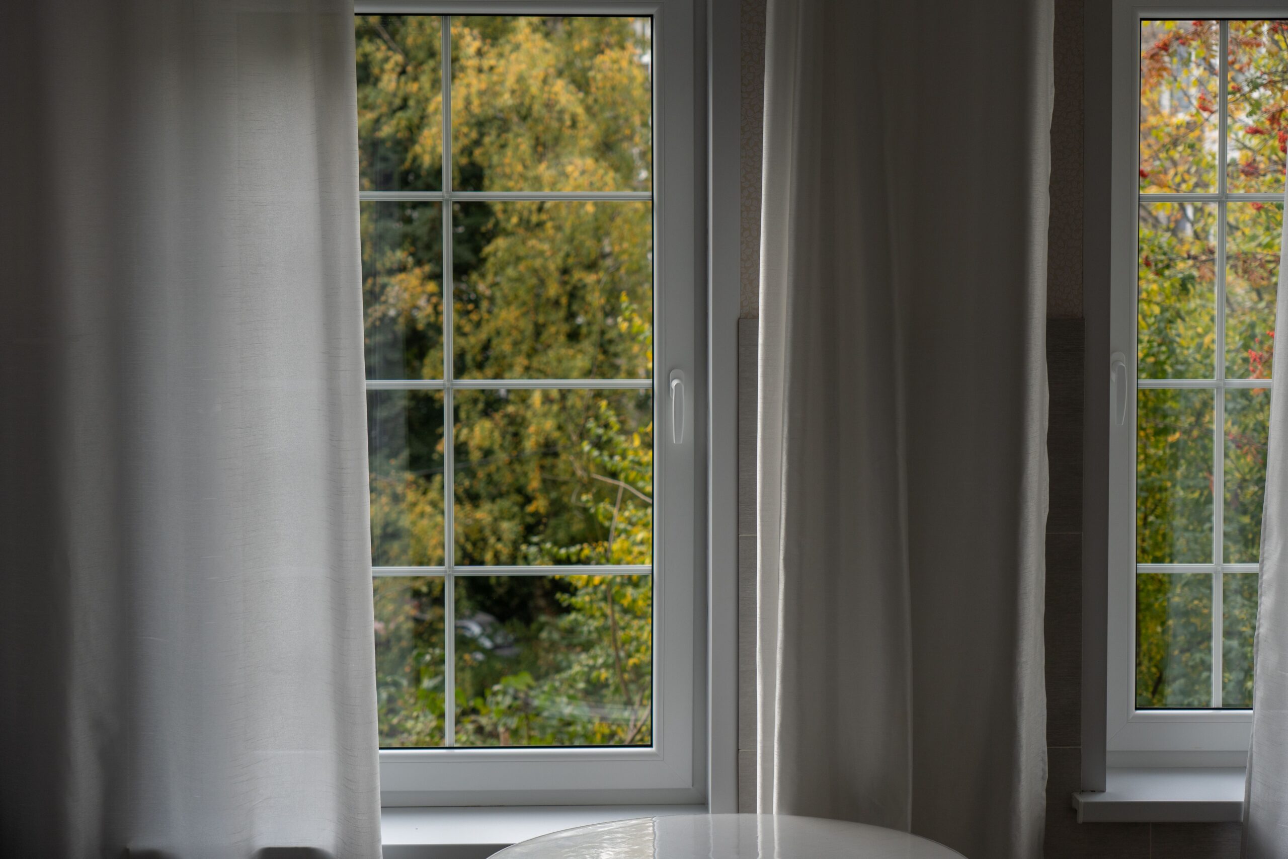 Energy-Efficient Windows